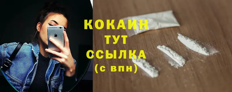 Кокаин FishScale  Вытегра 